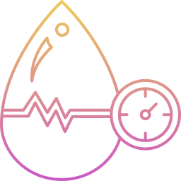 Blood Pressure & Cholesterol Management